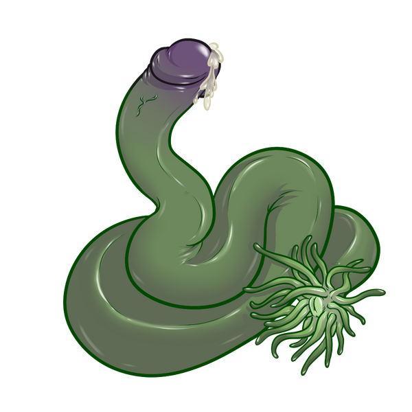 File:Cockvine Seedling (Adjatha).png